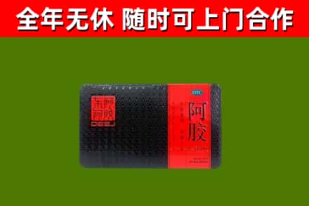 泗阳县回收阿胶