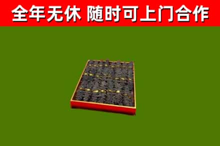 泗阳县回收海参